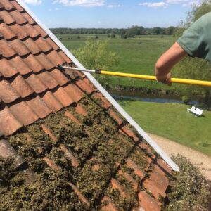 Roof moss clearance