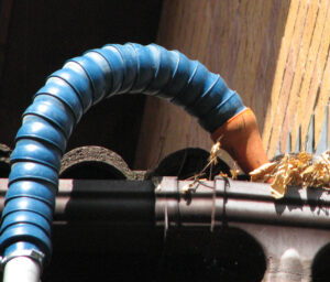 Flexi hose debris
