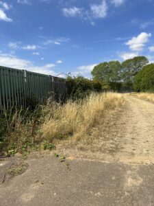 Grounds clearance and upkeep