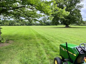 Lawn Maintenance