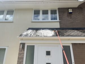 Algoclear foam wash