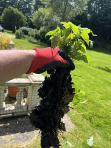 Gutter debris removal